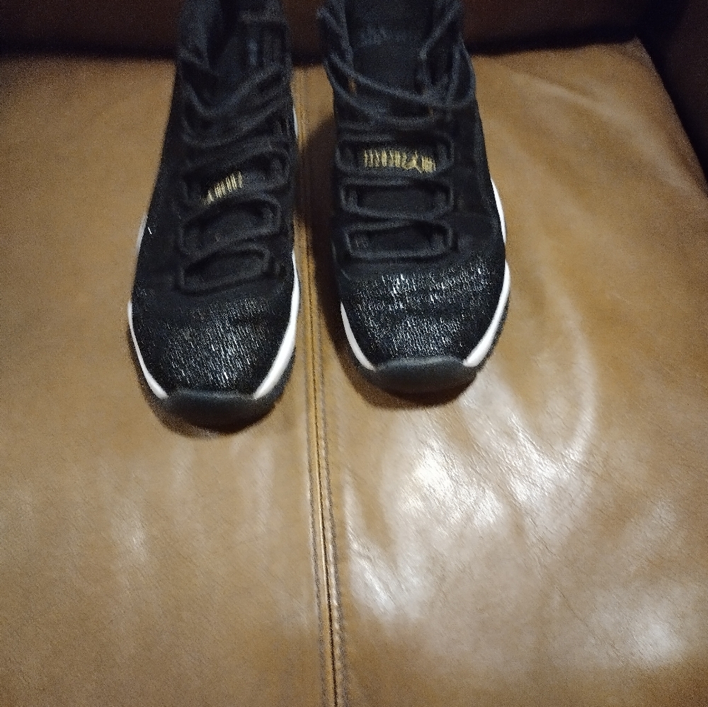 Air Jordan 11